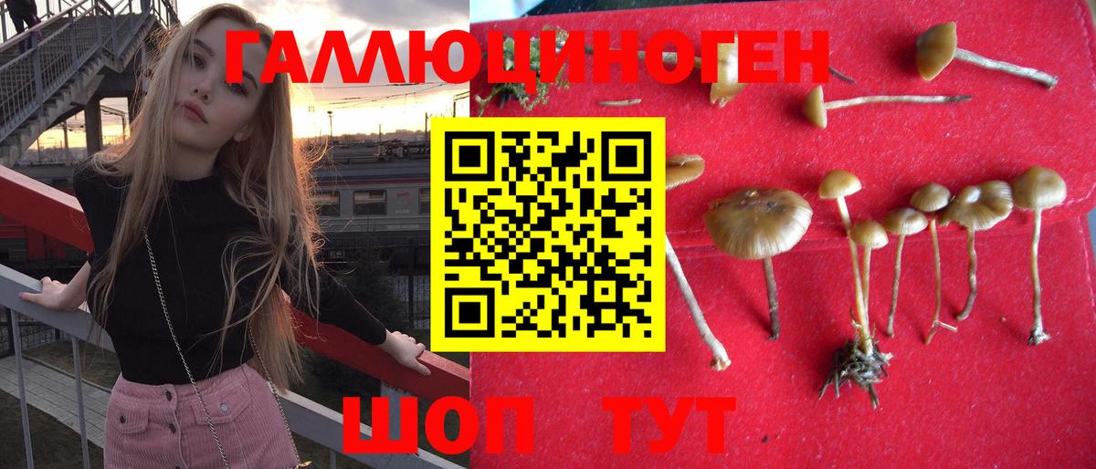 Псилоцибиновые грибы мухоморы Химки