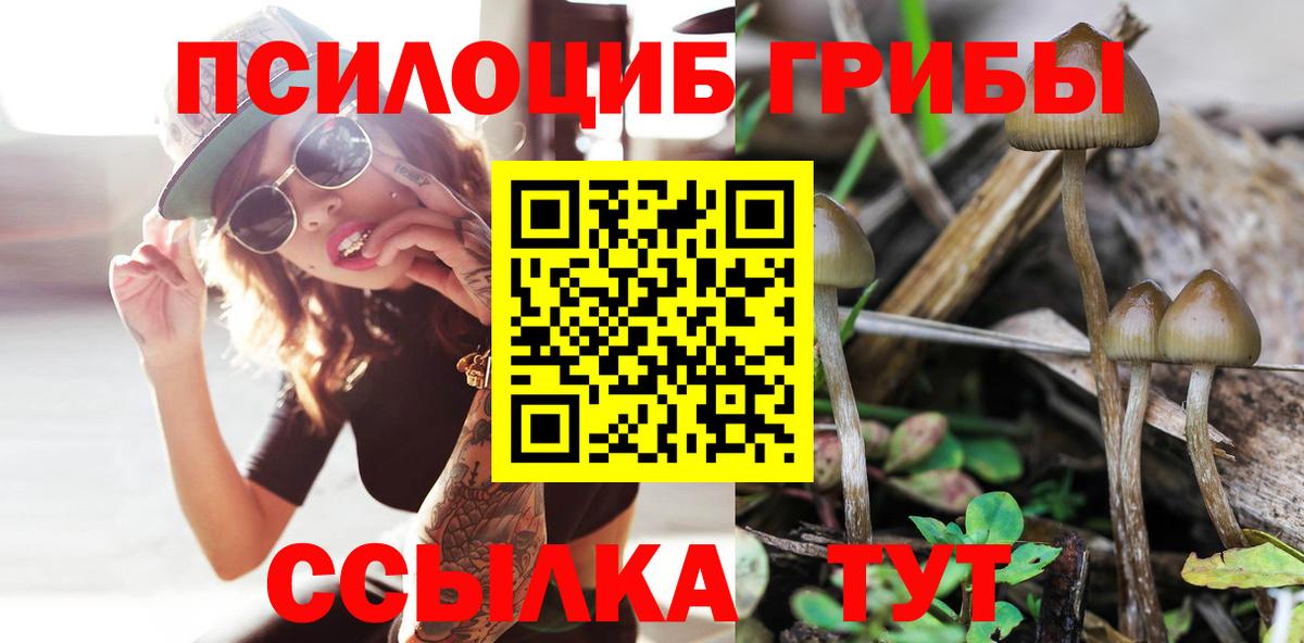 Псилоцибиновые грибы Psilocybine cubensis  Вход с VPN  Галлюциногенные грибы Cubensis  Химки 